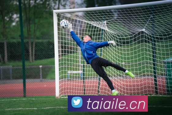 beat365唯一官方网站平台生态图